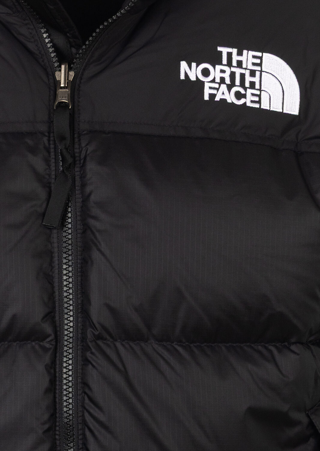 AI25-the20north20face-NF0A3XEOGOF_2_P.jpg