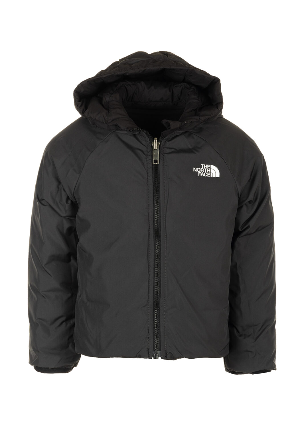 AI25-the20north20face-NF0A88VJJK31_2_P.jpg