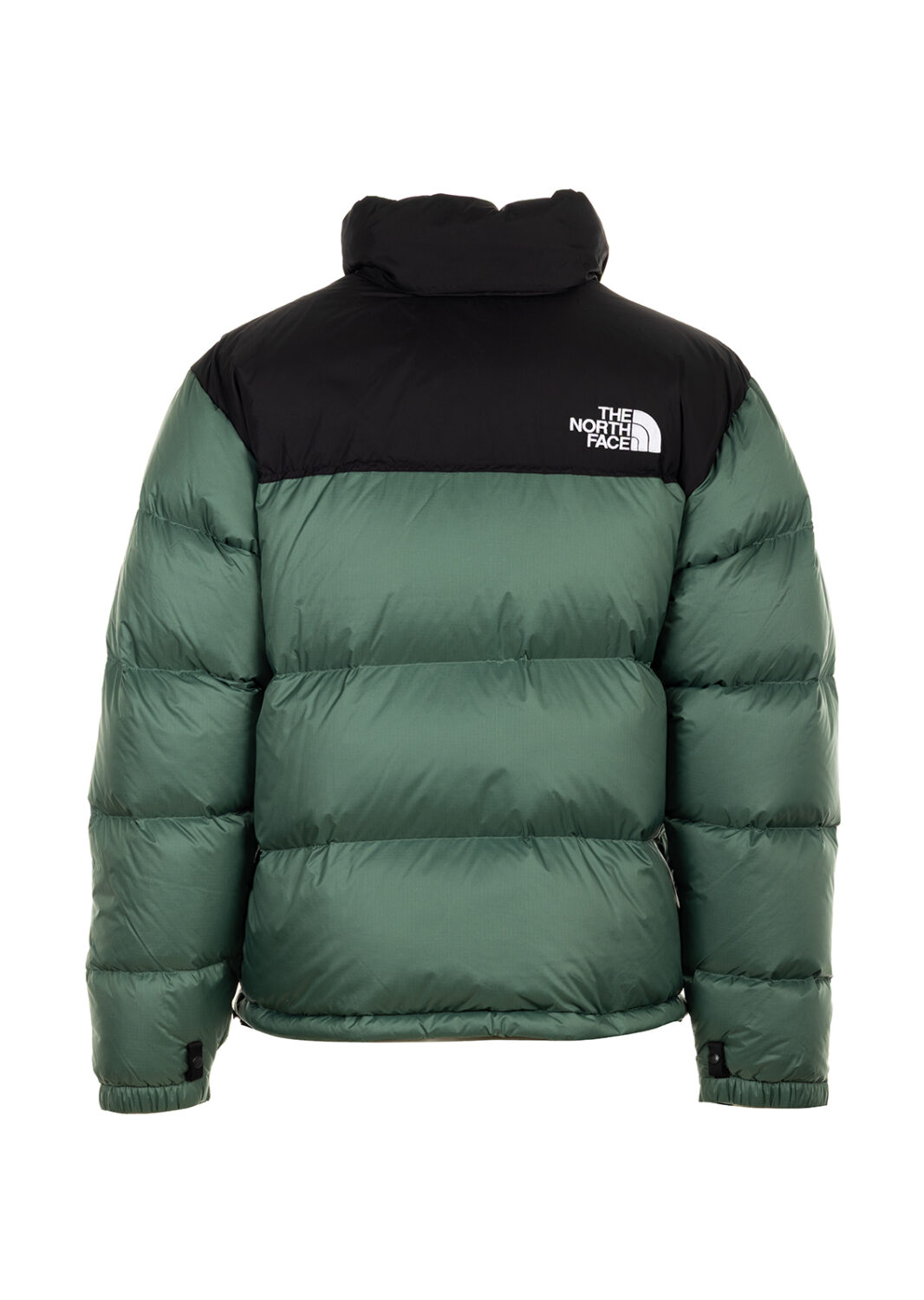 AI25-the20north20face-NF0A3C8DLFW_1_P.jpg