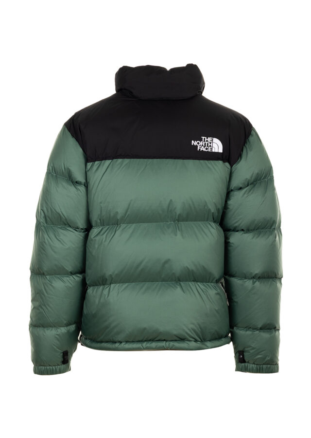 AI25-the20north20face-NF0A3C8DLFW_1_P.jpg