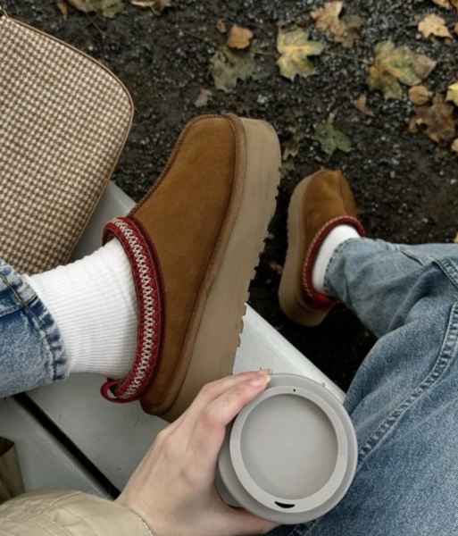 Screenshot 2026-01-07 (12.49.18)