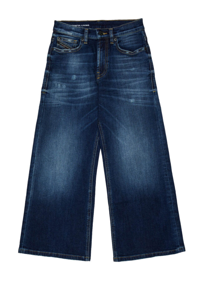 AI26-diesel-J02322KXBULDARGJXJK01-1.jpg